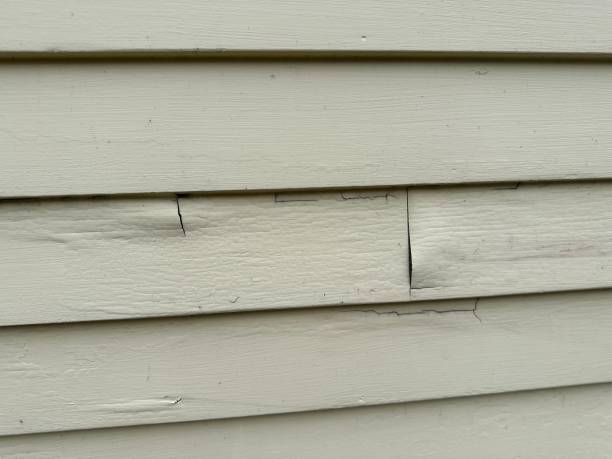 Best Garage Cleanout  in Peculiar, MO
